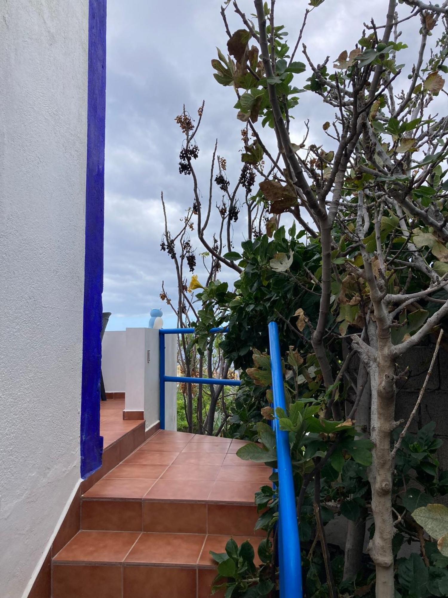 Apartamentos Y Habitaciones Villa Marina La Caleta  Værelse billede