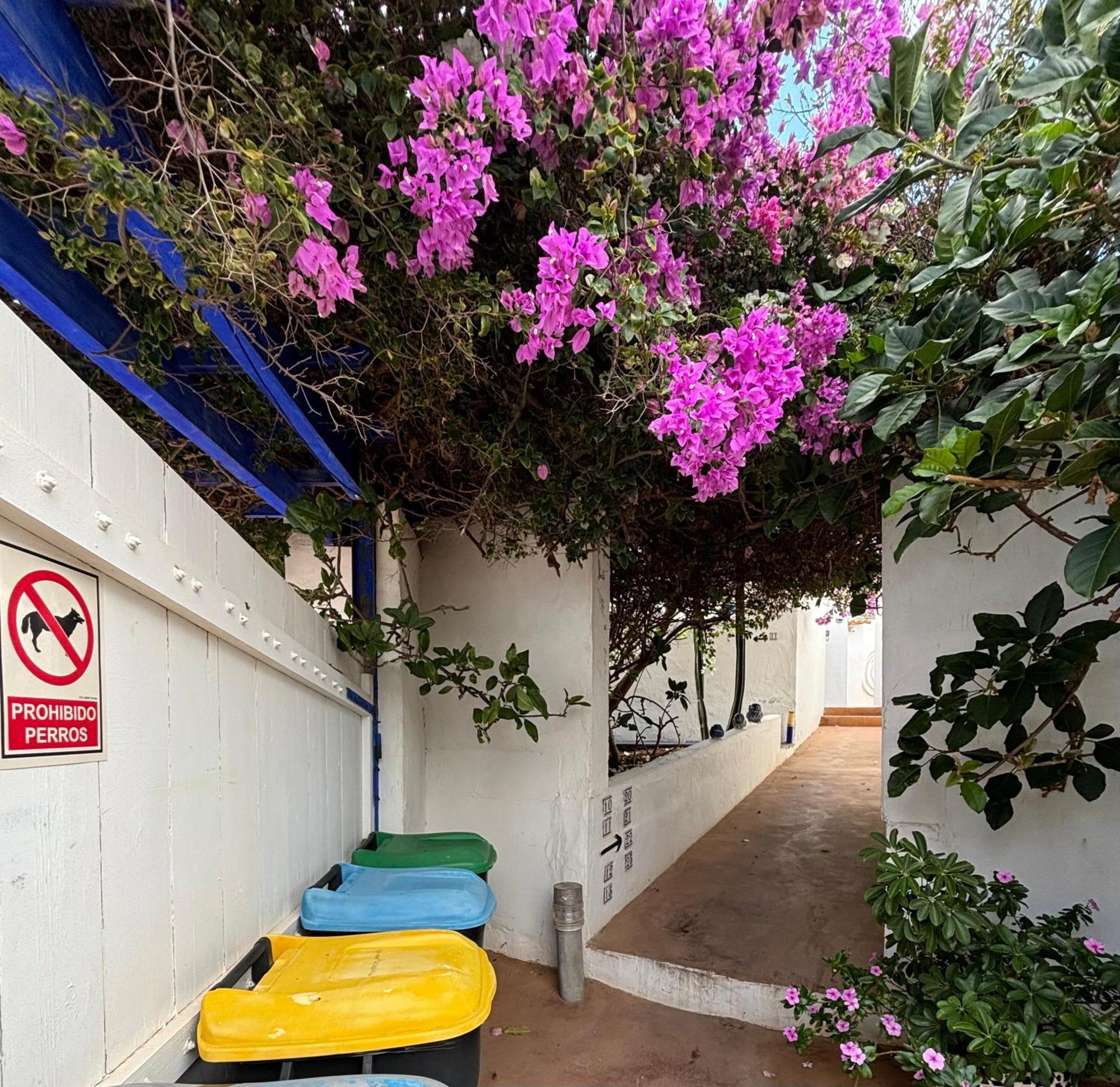 Apartamentos Y Habitaciones Villa Marina La Caleta  Eksteriør billede
