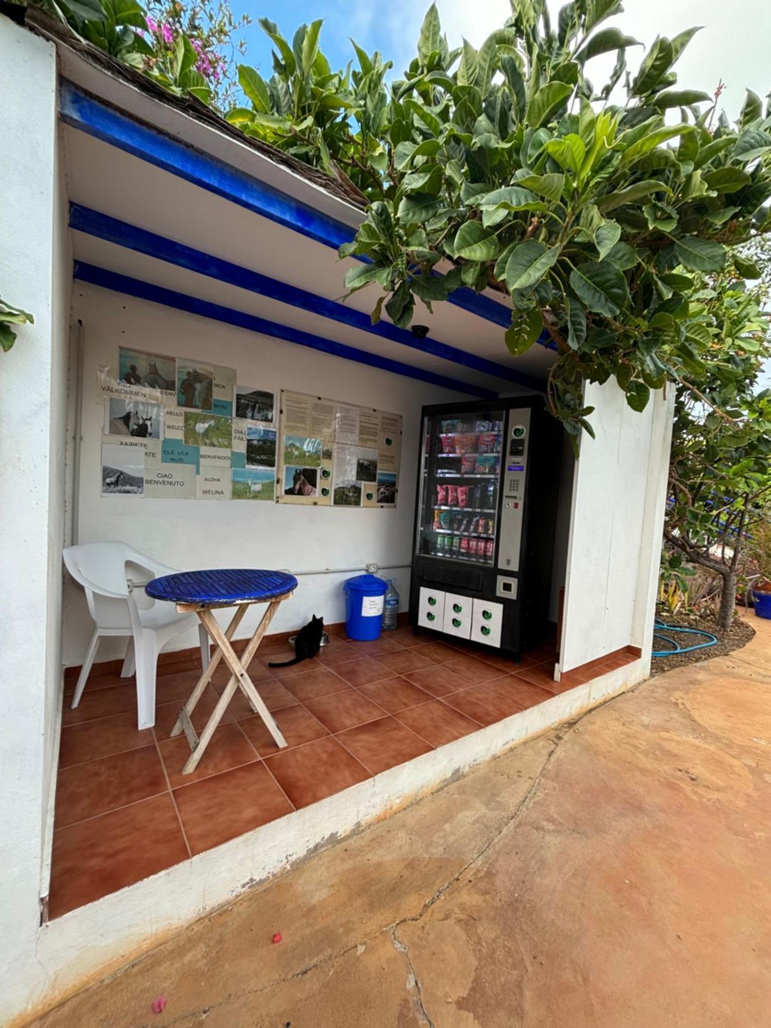 Apartamentos Y Habitaciones Villa Marina La Caleta  Eksteriør billede